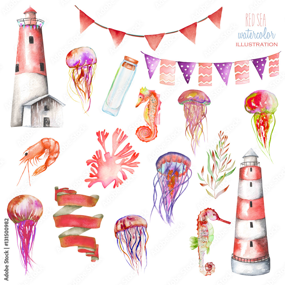 Obraz premium Set of watercolor elements to the marine theme: lighthouse, jellyfishes, flags, sea horses, seaweeds and others; hand painted isolated on a white background