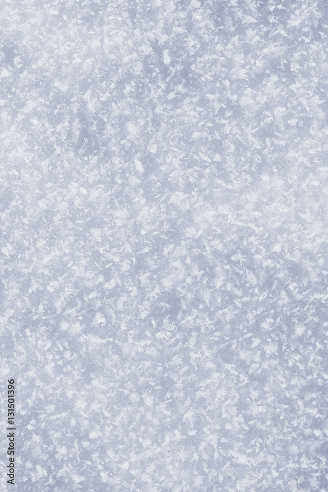 snow surface