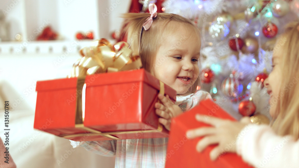 Family consists of the females sitting around the Christmas tree with gifts Family consists of the females sitting around the Christmas tree with gifts