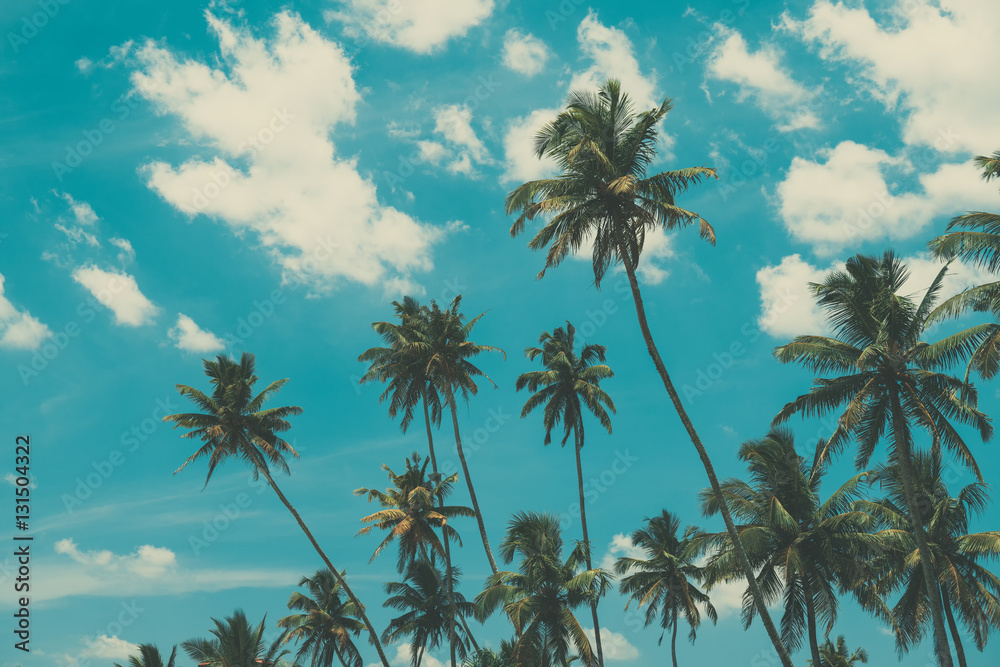 Naklejka premium Palm trees on tropical beach, vintage toned