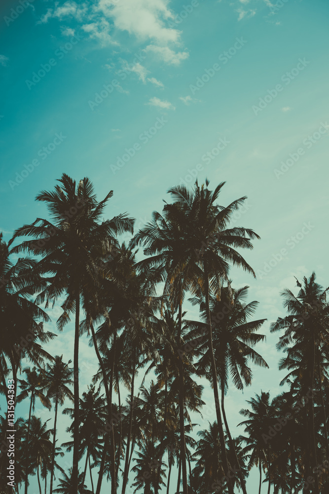 Fototapeta premium Palm trees on tropical beach, vintage toned and retro color stylized
