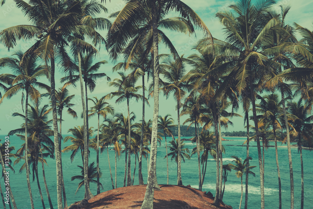 Fototapeta premium Palm trees on tropical coast, view above the ocean, vintage toned and retro color stylized