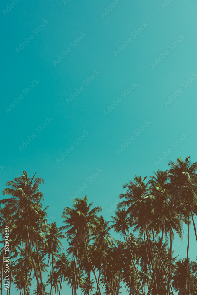 Fototapeta premium Palm trees on tropical beach, vintage toned and retro color stylized