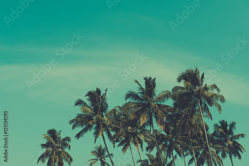 Palm trees on tropical beach, vintage toned and retro color stylized