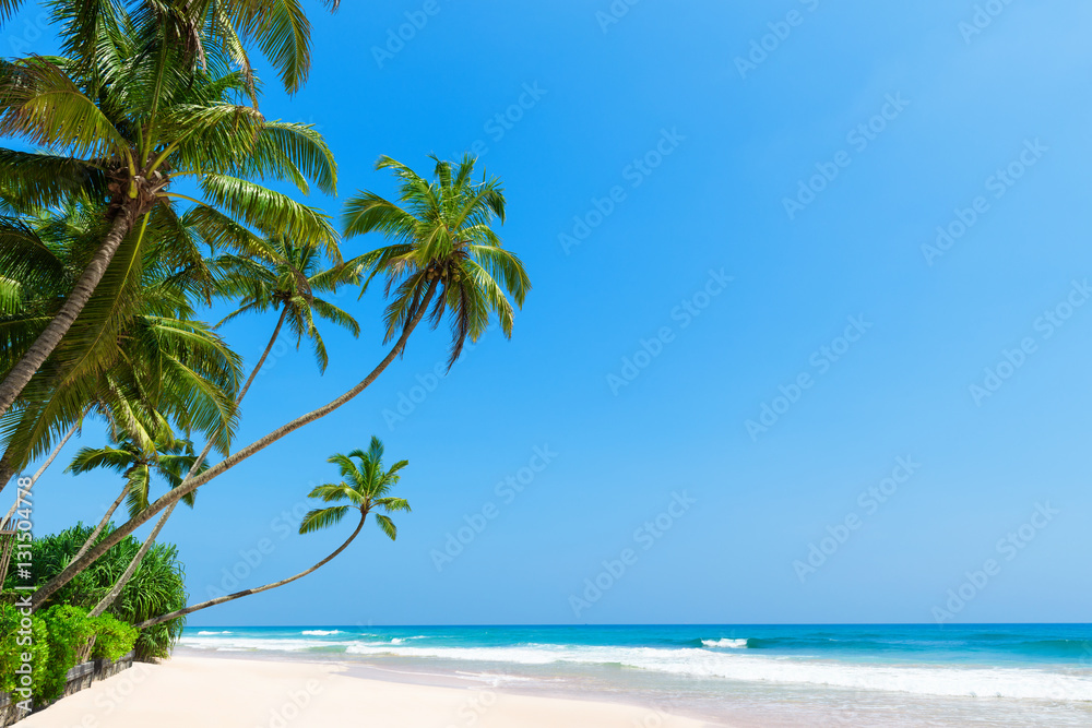 Tropical island beach with coconut palm trees. Idyllic Caribbean clean ocean white sand and clear blue sky on sunny summer vacation day