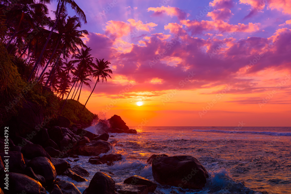 Naklejka premium Palm tress on tropical coast at sunset