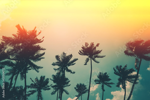 Fototapeta Naklejka Na Ścianę i Meble -  Coconut palm trees on tropical ocean beach, vintage toned and retro color stylized with film light leaks
