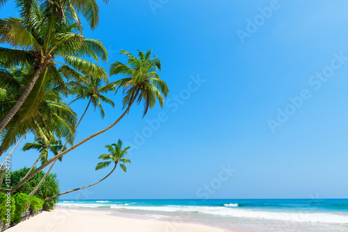 Fototapeta Naklejka Na Ścianę i Meble -  Tropical island beach with coconut palm trees. Idyllic Caribbean clean ocean white sand and clear blue sky on sunny summer vacation day