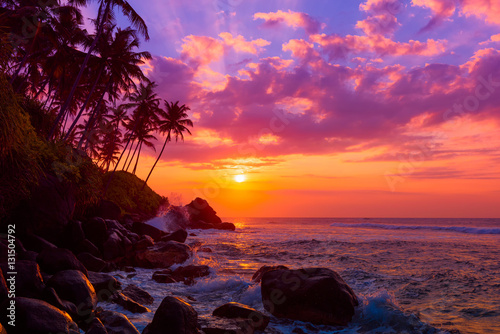 Palm tress on tropical coast at sunset