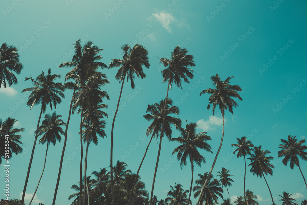 Fototapeta premium Palm trees on tropical ocean beach, vintage toned and retro color stylized