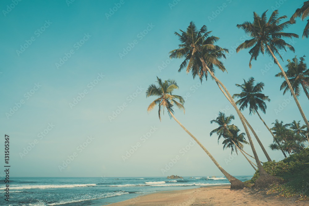 Fototapeta premium Tropical beach with palm trees, vintage color stylized