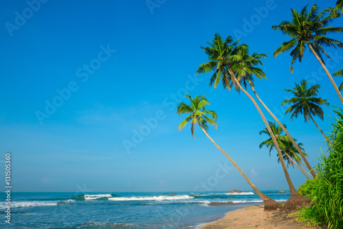 Tropical palm trees on ocean beach at day light time