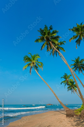 Tropical palm trees on ocean beach at day light time © nevodka.com