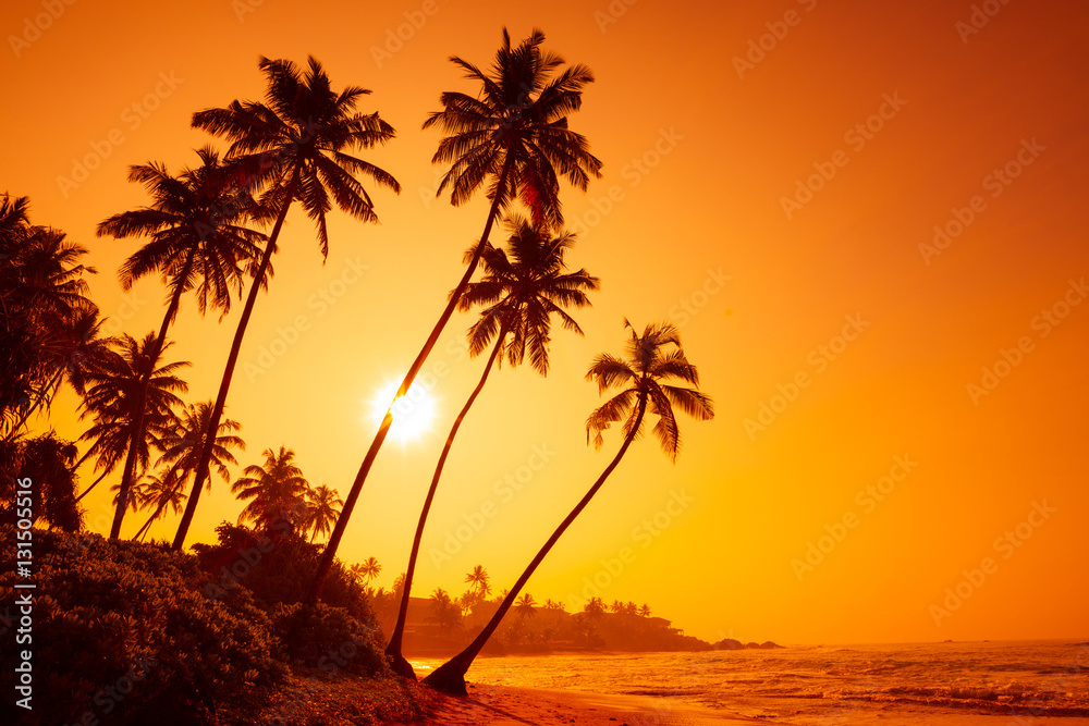 Sunset on tropical beach