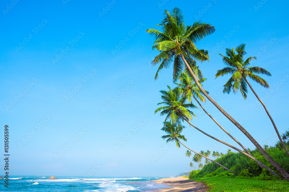 Naklejka premium Tropical palm trees on ocean beach at day light time