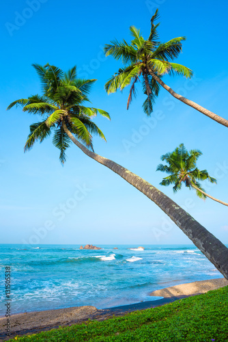Tropical palm trees on ocean beach © nevodka.com