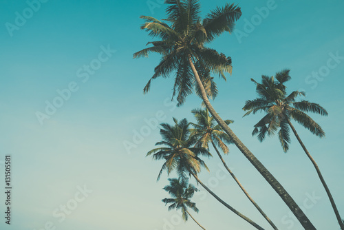 Palm trees vintage color stylized with copy space