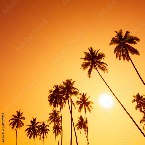 Palm trees silhouettes on tropical beach at summer warm vivid sunset time © nevodka.com