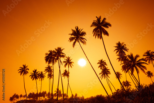 Palm trees silhouettes on tropical beach at summer warm vivid sunset time with sun and rays © nevodka.com