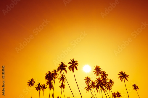 Fototapeta Naklejka Na Ścianę i Meble -  Palm trees silhouettes on tropical beach at summer warm vivid sunset time