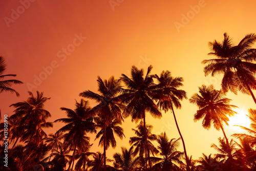 Palm trees silhouettes on tropical beach at summer warm vivid sunset time and sun circle with rays