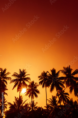 Fototapeta Naklejka Na Ścianę i Meble -  Palm trees silhouettes on tropical beach at summer warm vivid sunset time and sun circle with rays