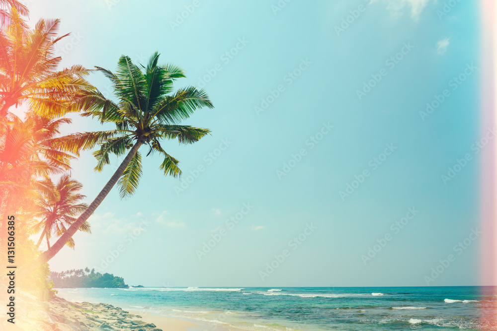 Fototapeta premium Palm tree on tropical ocean beach at sunny day vintage light leaks stylized