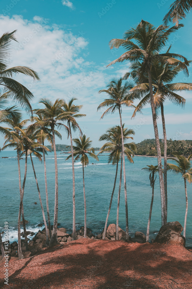 Fototapeta premium Palm trees on hill at tropical beach, vintage toned and retro color stylized