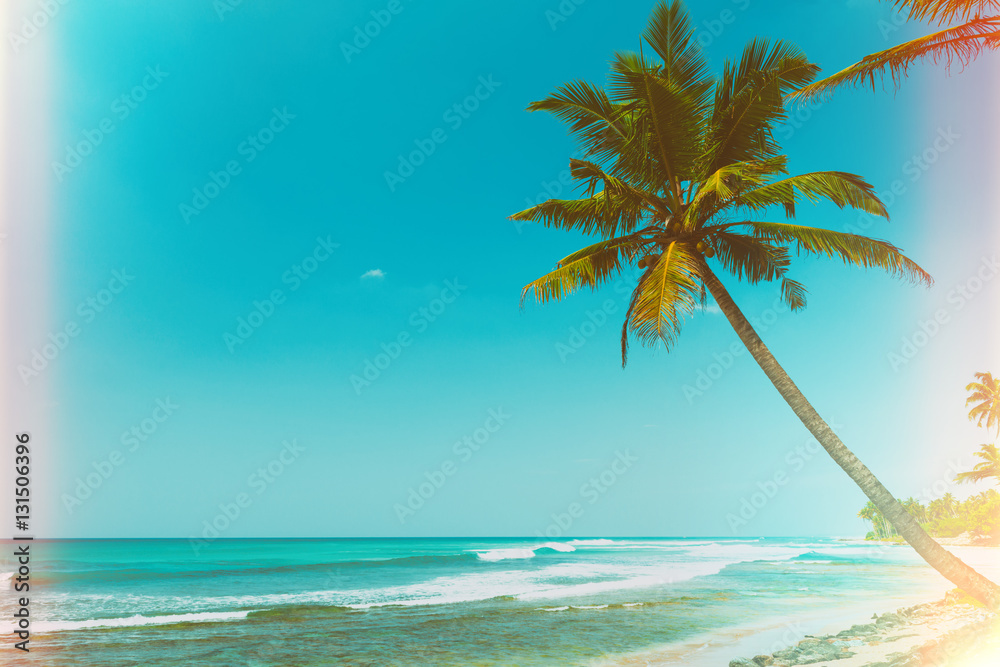 Palm tree on tropical ocean beach at sunny day vintage film stylized