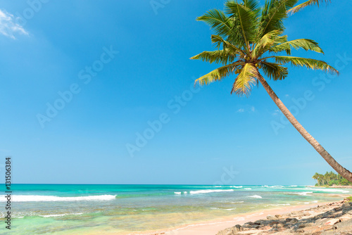 Fototapeta Naklejka Na Ścianę i Meble -  Palm tree on tropical ocean beach