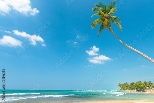 Palm tree on tropical ocean beach at sunny day © nevodka.com