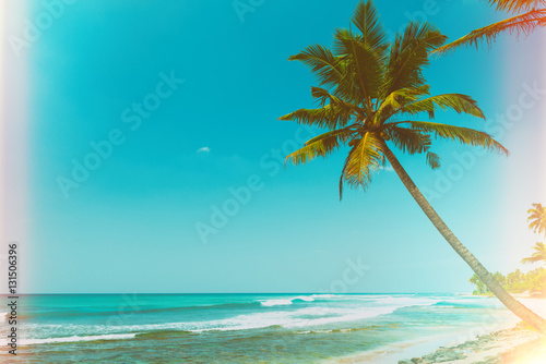 Fototapeta Naklejka Na Ścianę i Meble -  Palm tree on tropical ocean beach at sunny day vintage film stylized