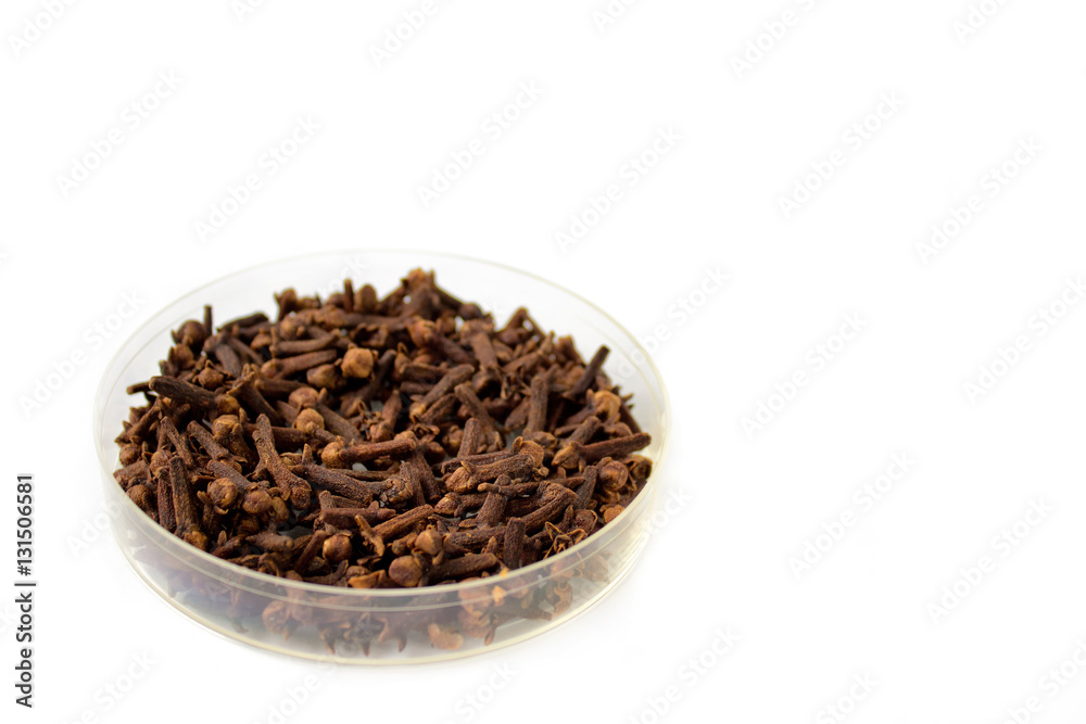 Herbs and seasonings. Dried clove in a transparent dish isolated on white background. Herbs and seasonings. Dried clove in a transparent dish isolated on white background.
