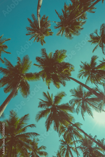 Vintage toned different tropical palm trees at summer tropical island beach, view from bottom up to the sky with sun and rays © nevodka.com