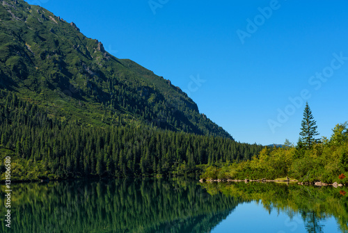 Lake in high mountains with pine forest