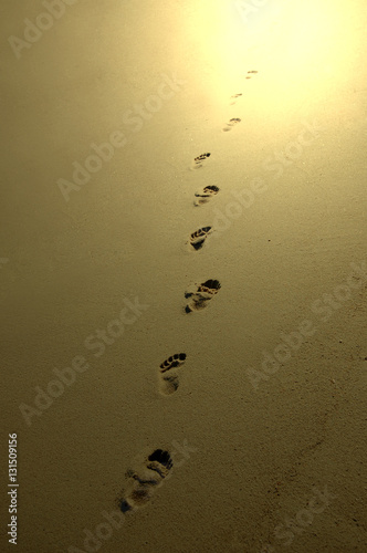 Spur ins Licht