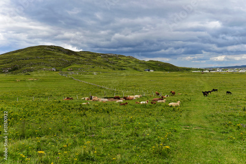 Iralnd - Wandern auf der Rosguill-Halbinsel photo