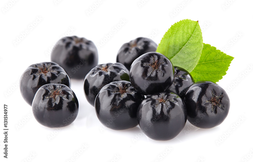 Chokeberry with leaf Chokeberry with leaf