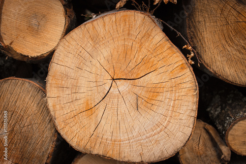 Closeup chopped wood
