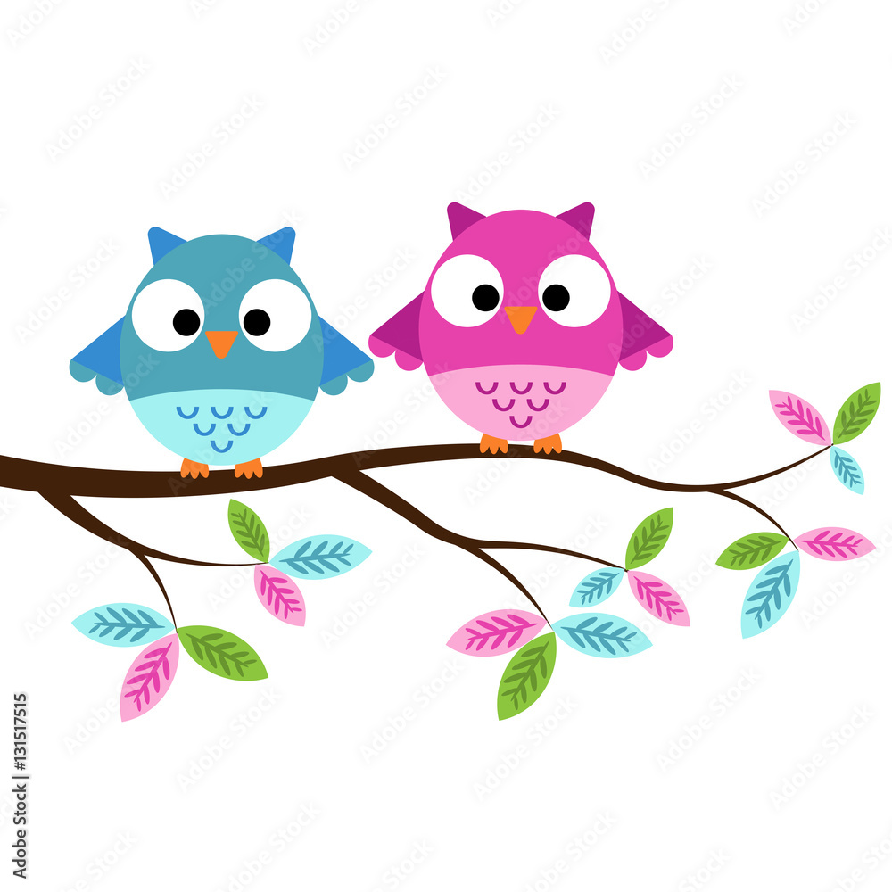 Obraz premium Dwie sowy siedzące na gałęzi