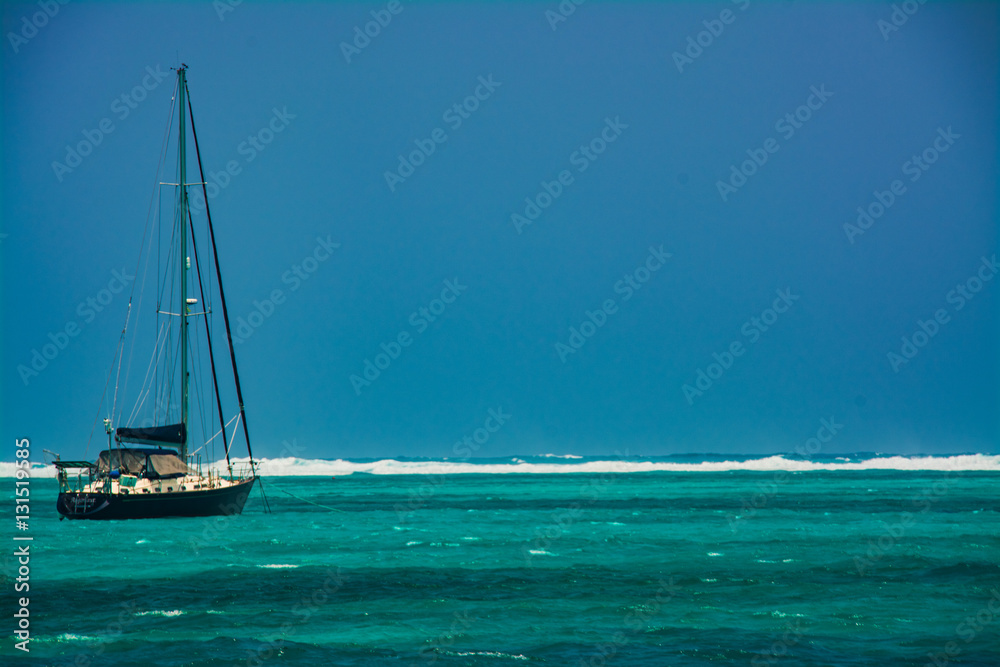 Obraz premium Inside the reef in Belize