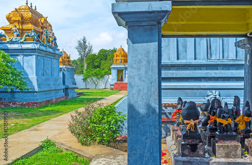 The garden with Hindu Shrines photo