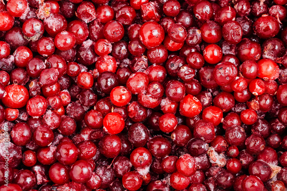 Closeup of red  frozen  ripe Lingonberry