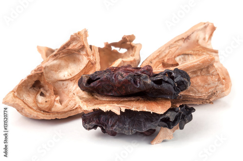 spoiled walnut isolated on a white background closeup