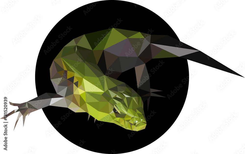 Green lizard in a polygon style. Fashion illustration of the tre Stock ...