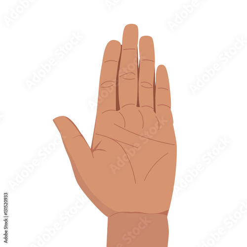 Hand palm illustration