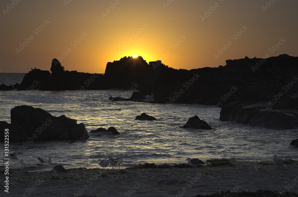 Sunset with rocks and ocean