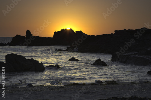 Sunset with rocks and ocean