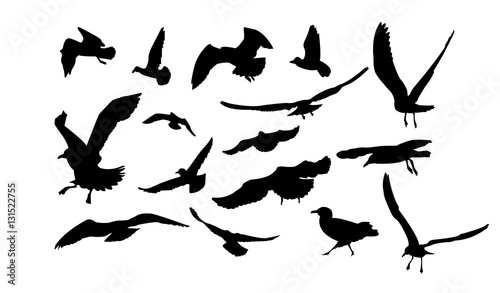 Set of multiform flying seagulls.