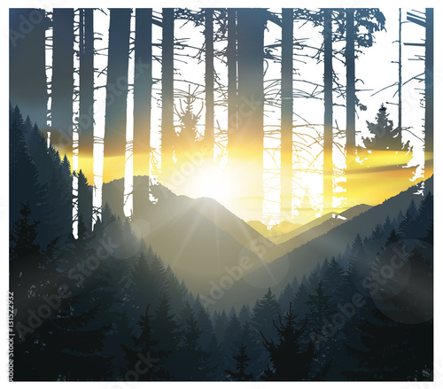 Abstract nature background. Mountains panorama and silhouette of trunks. Colorful sunset in wild woodland.